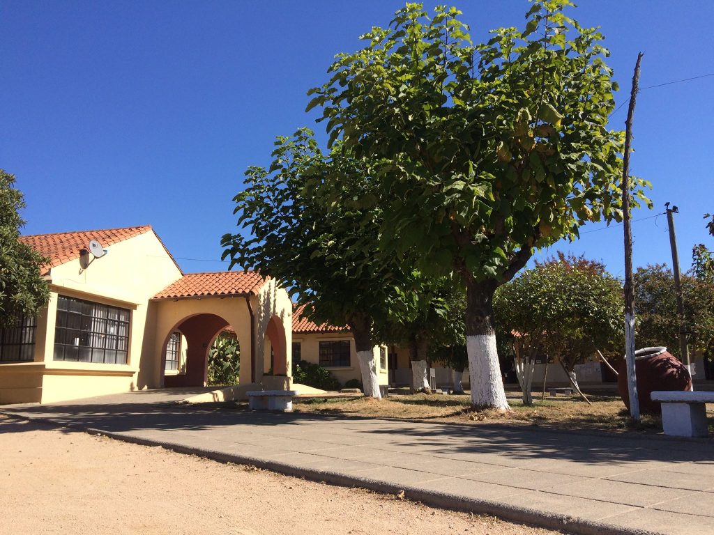 Frontis